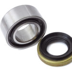 Car Bearing and Oil Seal